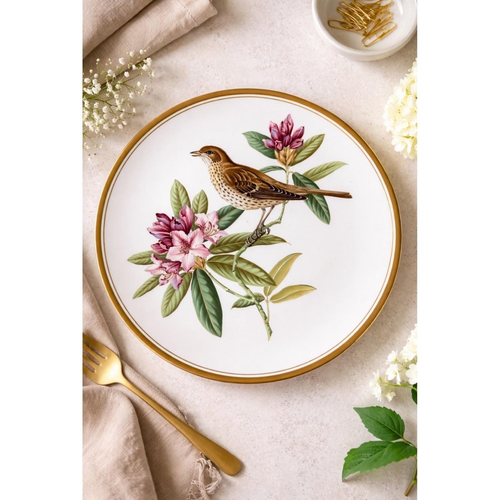Spode Garden Birds Plate No. 5 of 6 Mistle Thrush Plate England Gold‎ Trim 9.5"